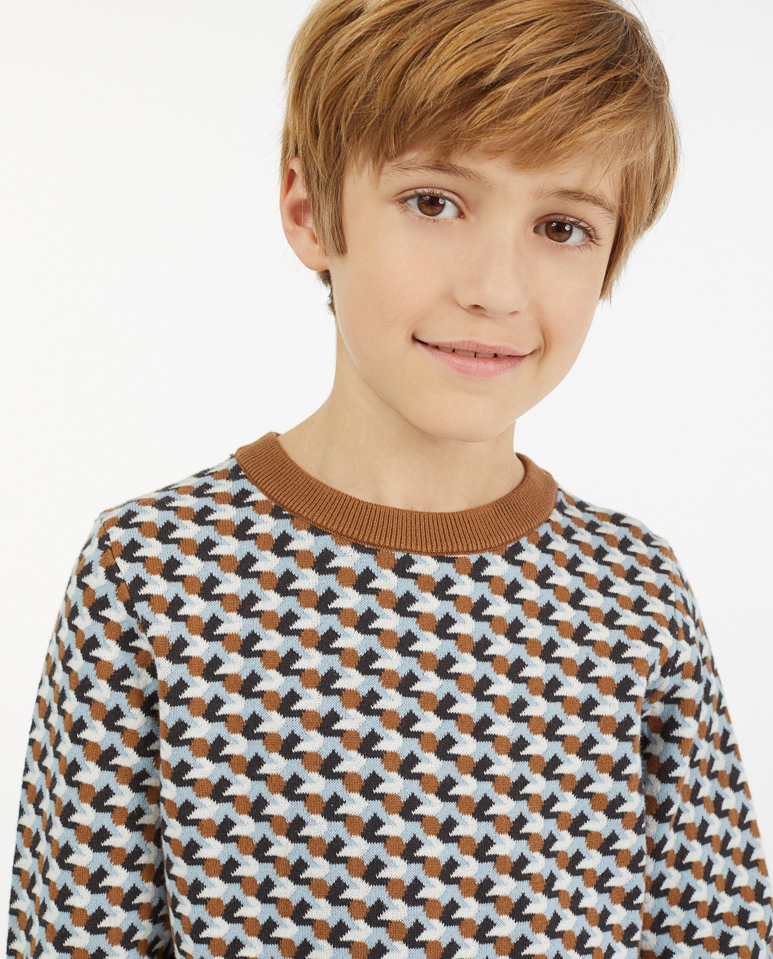 Truien - Gebreide trui met jacquard patroon