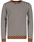 Truien - Gebreide trui met jacquard patroon