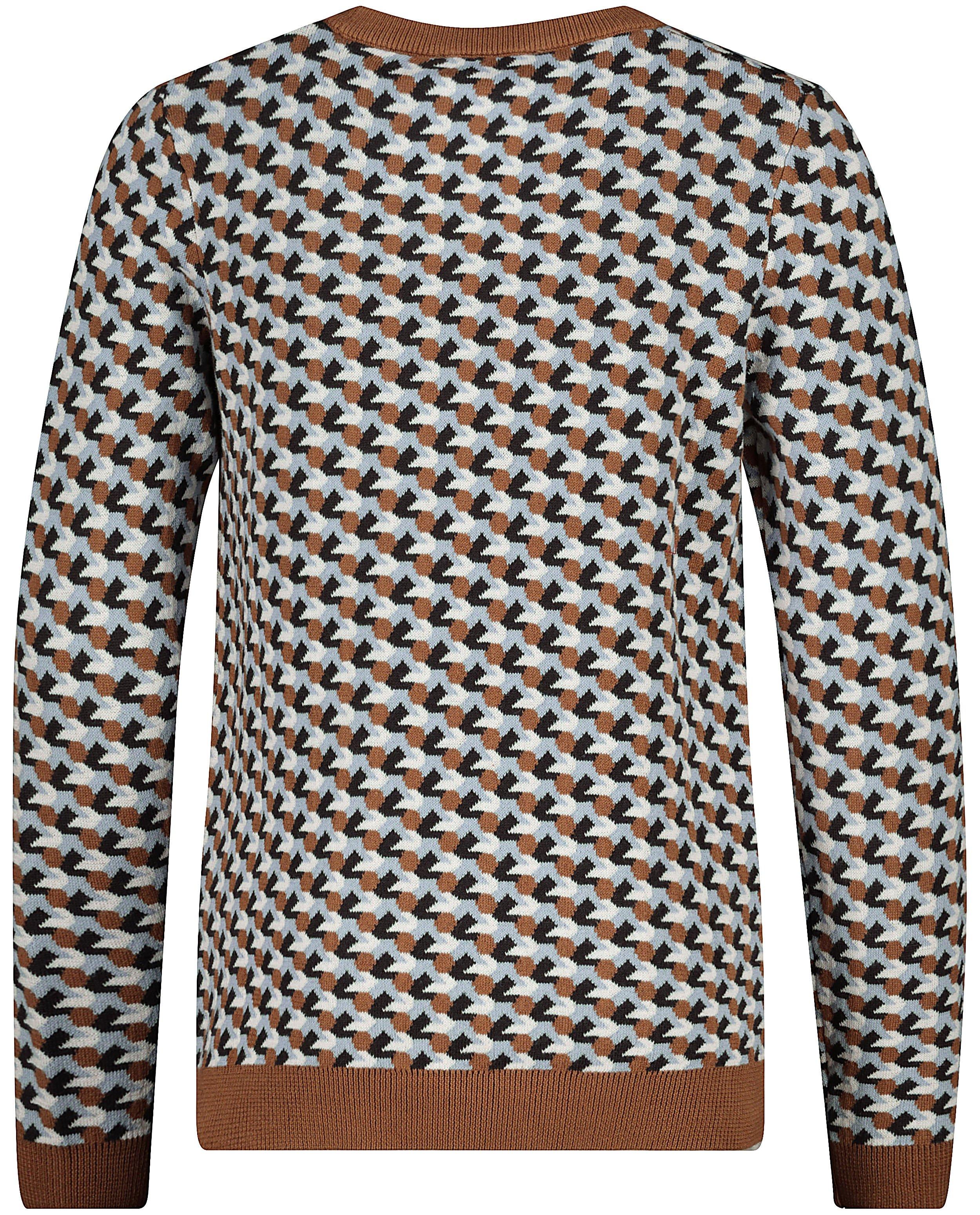 Truien - Gebreide trui met jacquard patroon