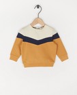 Biokatoenen sweater met color block - bruin - Cuddles and Smiles