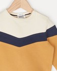 Sweaters - Biokatoenen sweater met color block