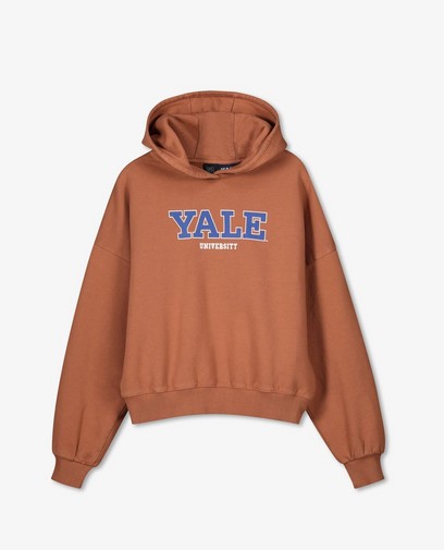 Hoodie brun « Yale »