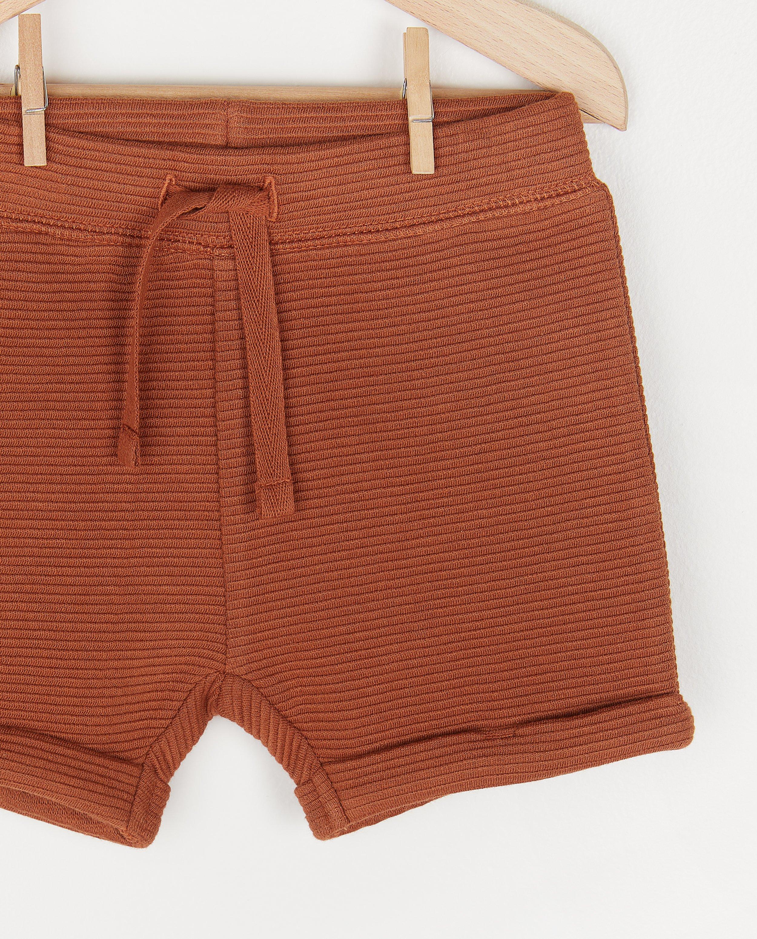 Shorts - 