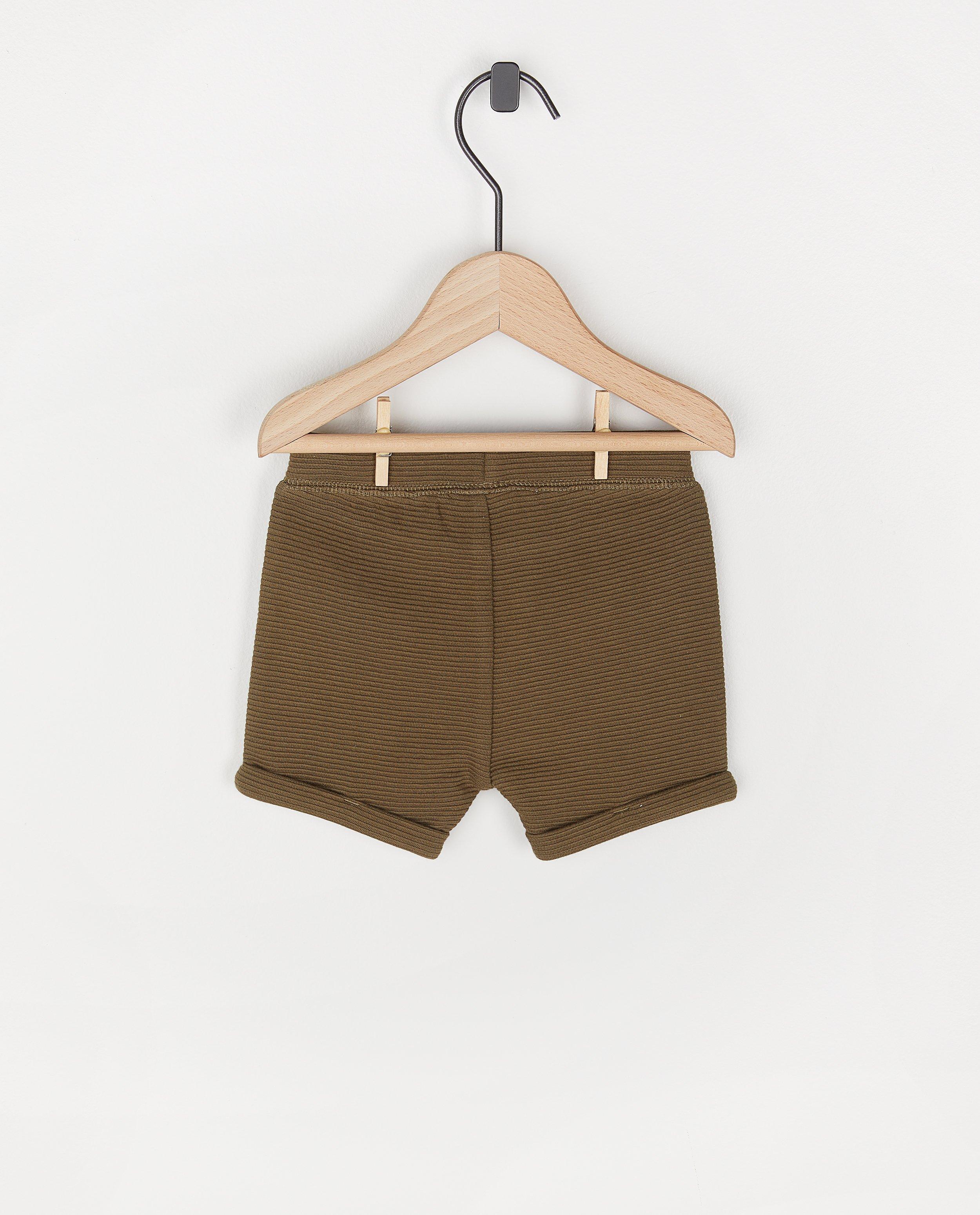 Shorts - 