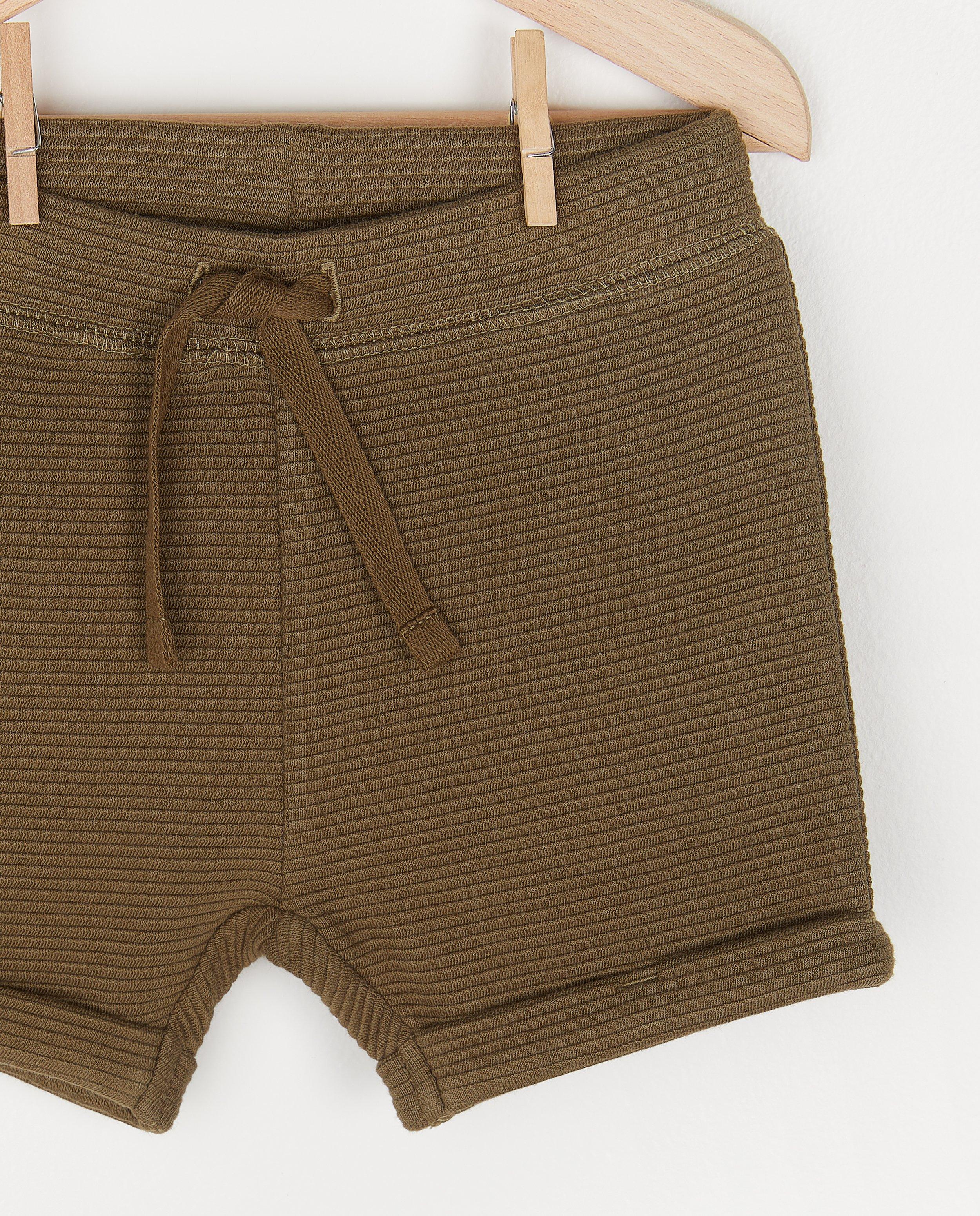 Shorts - 