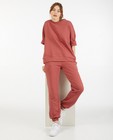 Sweaters - Roze sweater Ella Italia