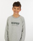 Grijze Neoprof sweater Vive le vélo - van biokatoen - Vive le vélo