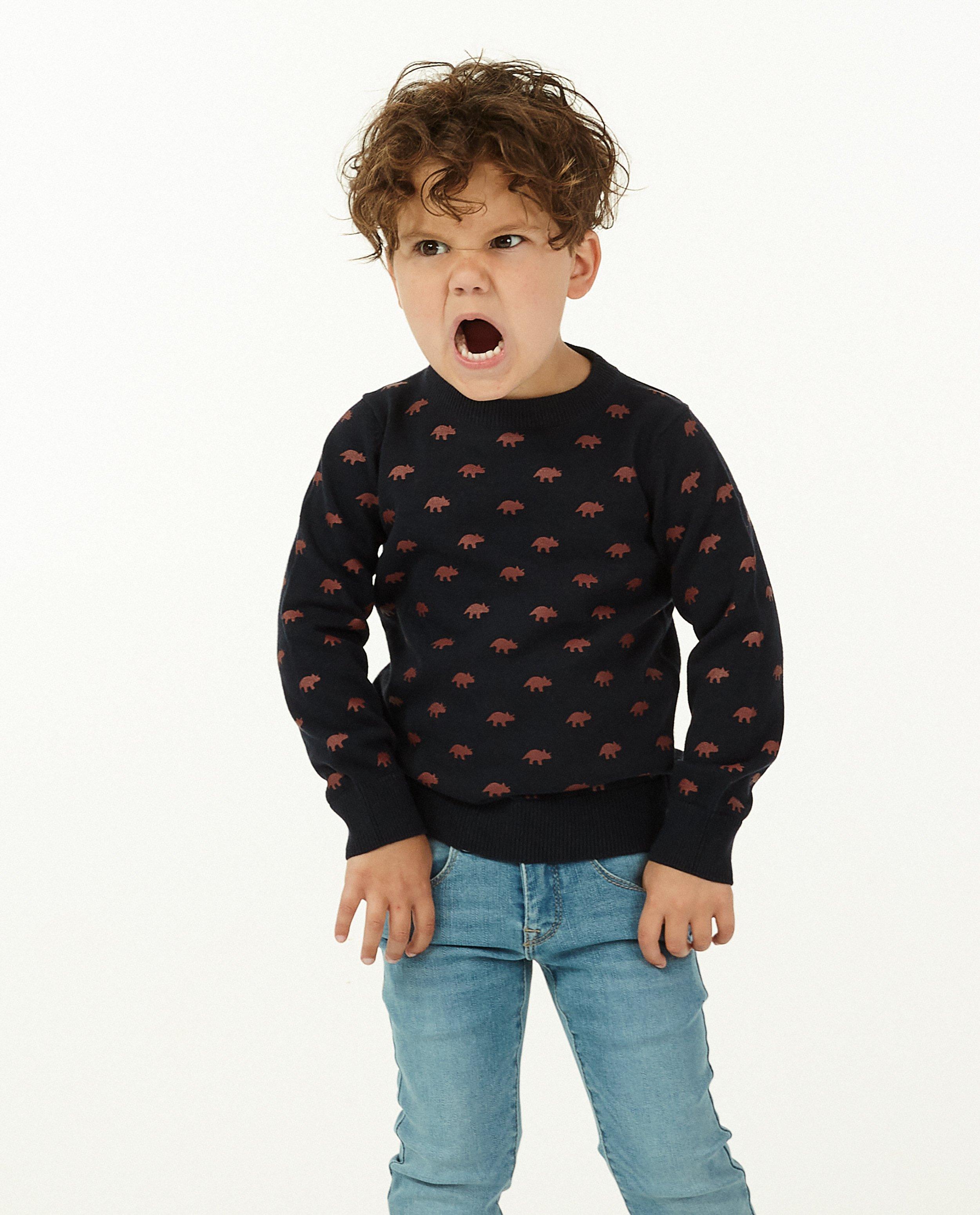 Pulls - Pull gris clair à imprimé BESTies