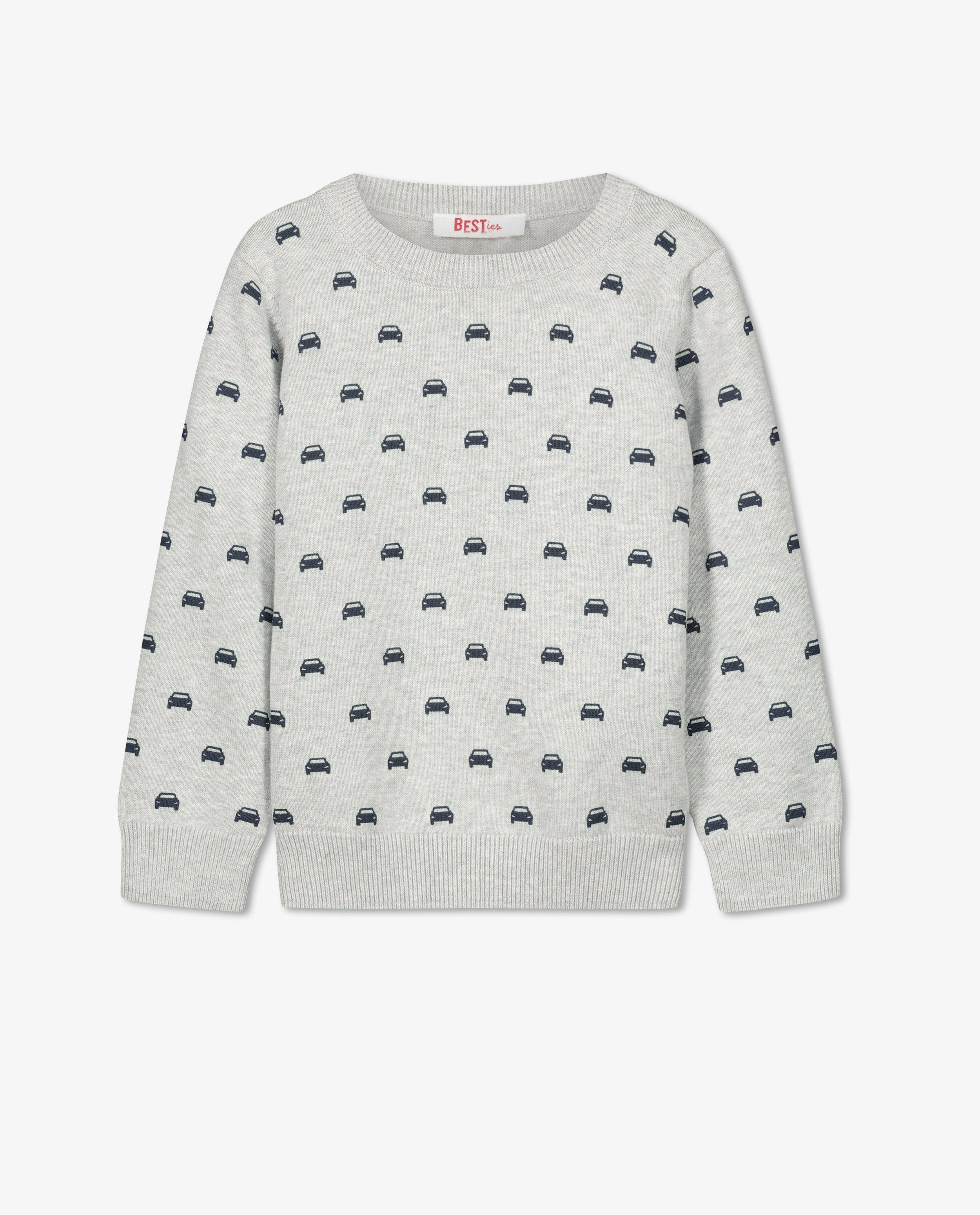 Pulls - Pull gris clair à imprimé BESTies