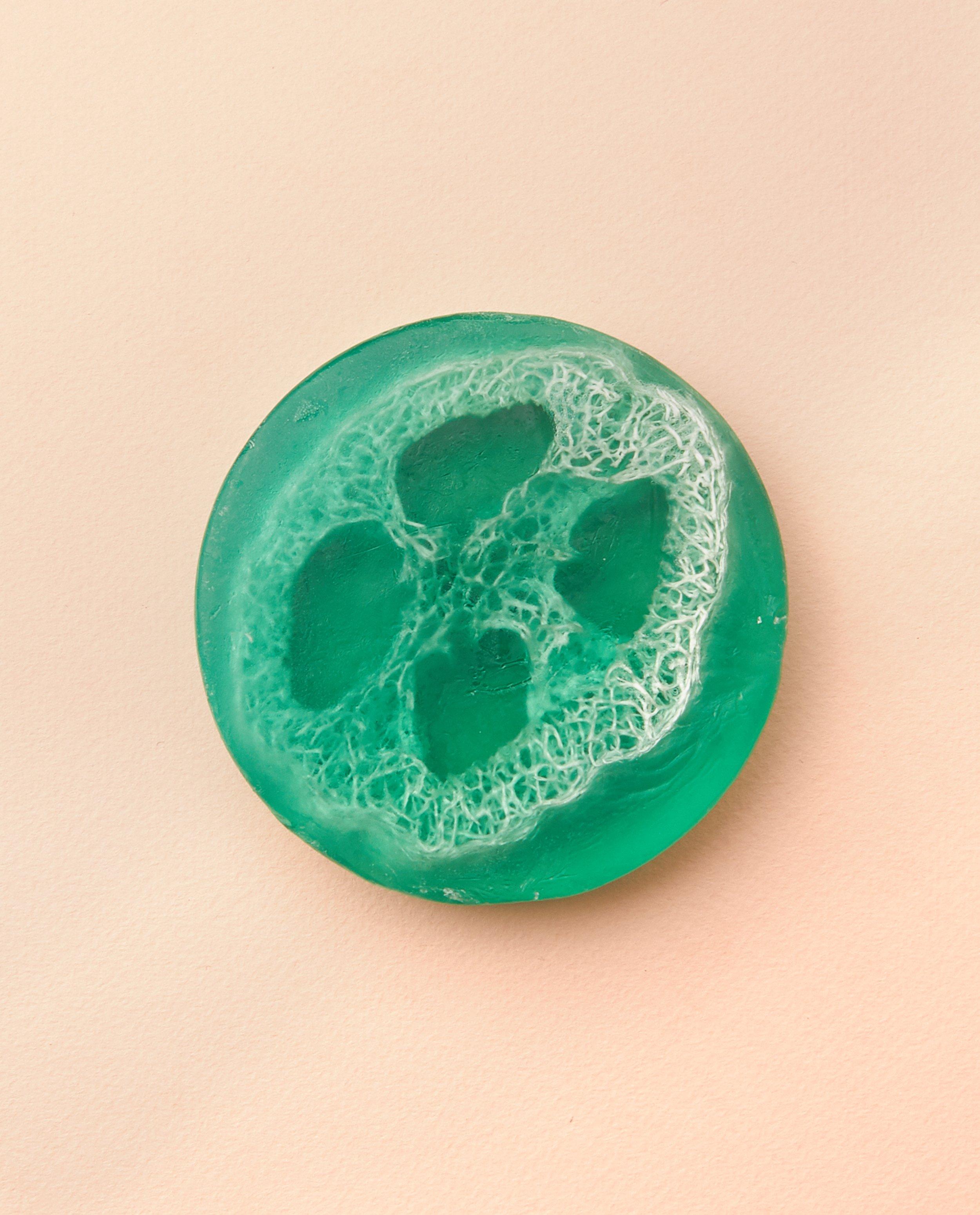 Loofah-scrubzeep Bubbles at Home - Eucalyptus - Bubbles at home