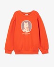 Sweaters - Sweater met print fred + ginger
