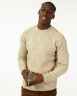 Truien - Beige trui met gebreid patroon