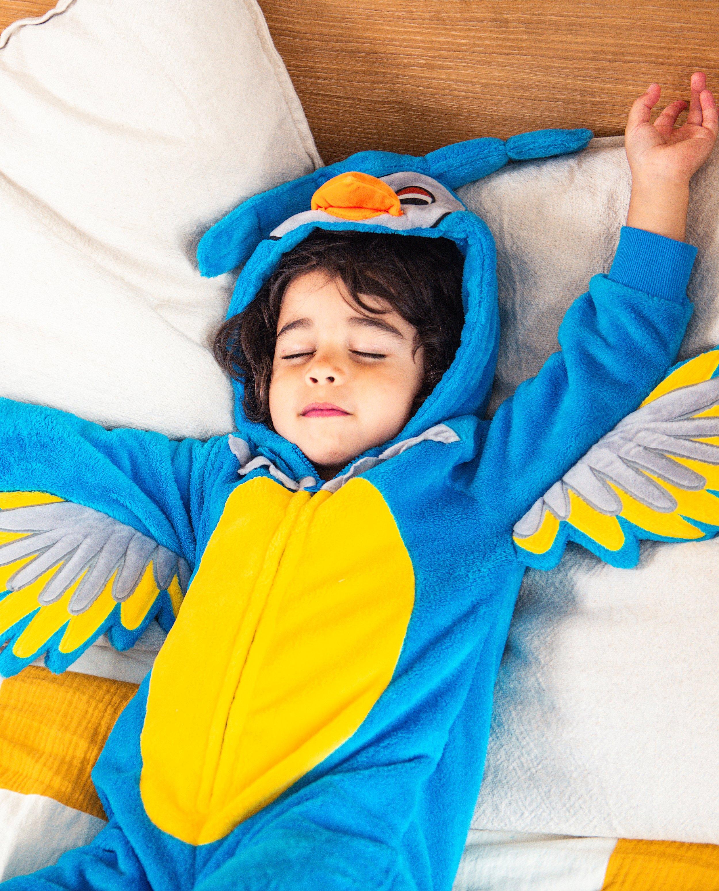Nachtkleding - Blauwe onesie De Fabeltjeskrant