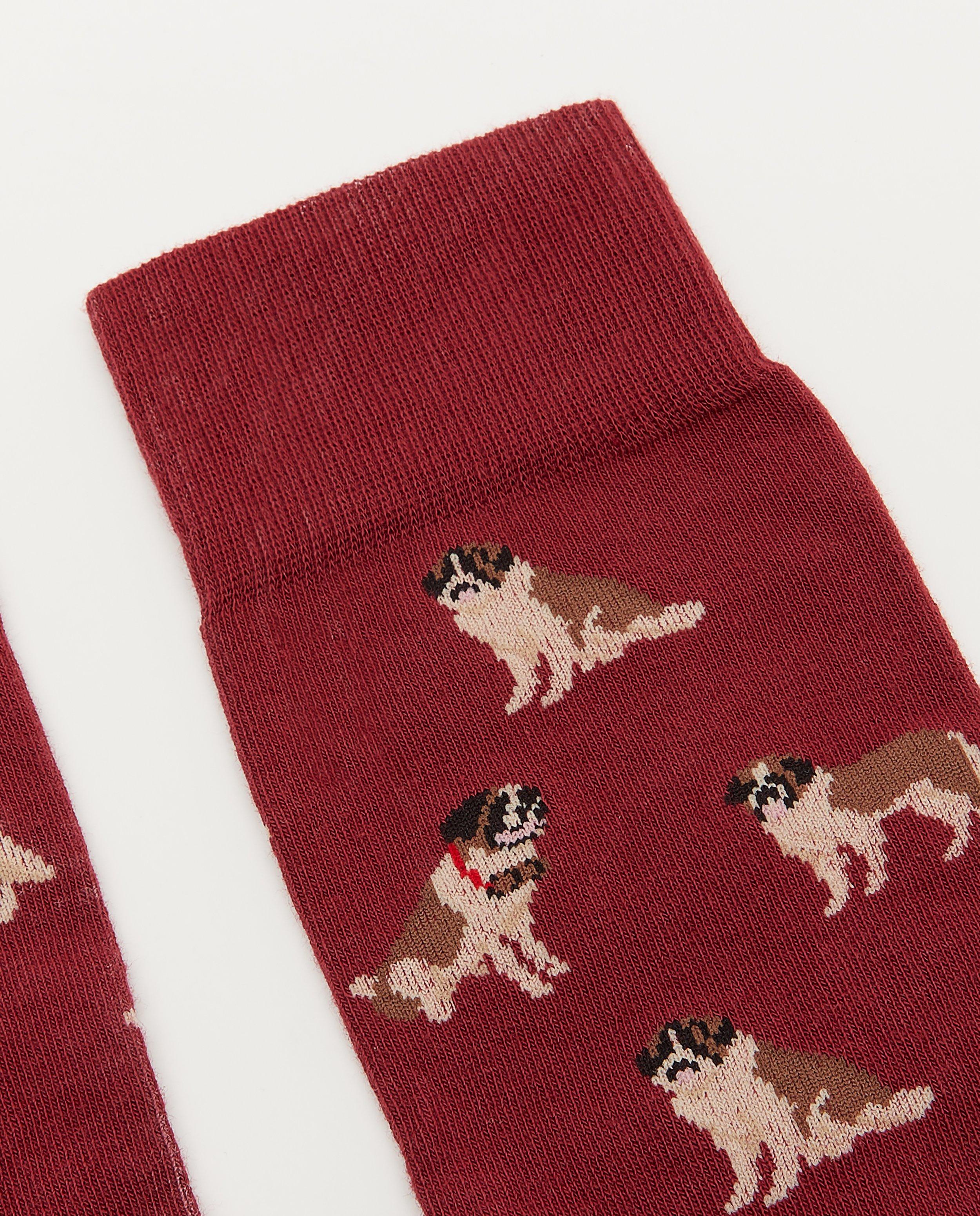 Kousen - Biokatoenen kousen DillySocks, 36-40