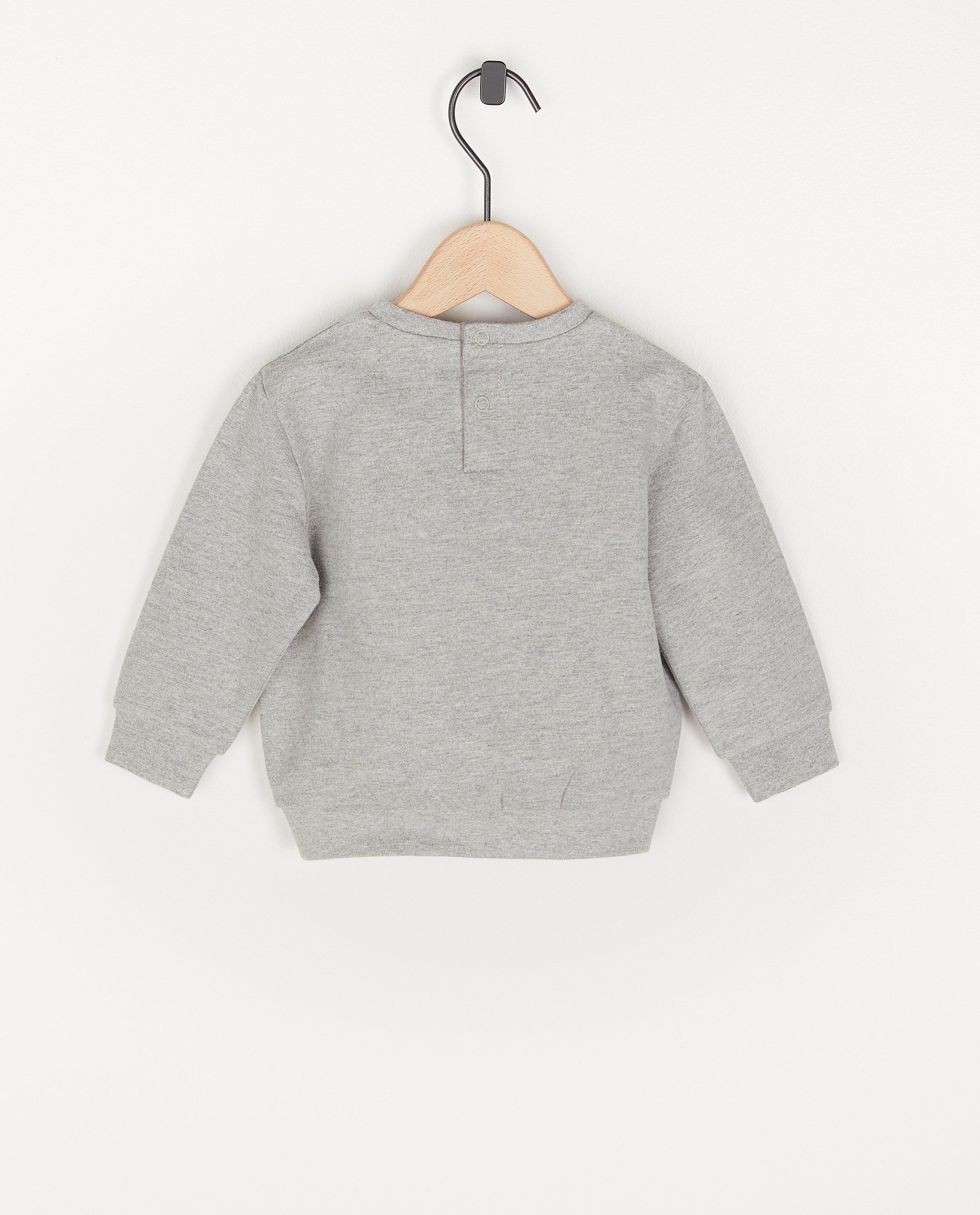 Sweaters - Grijze sweater met print