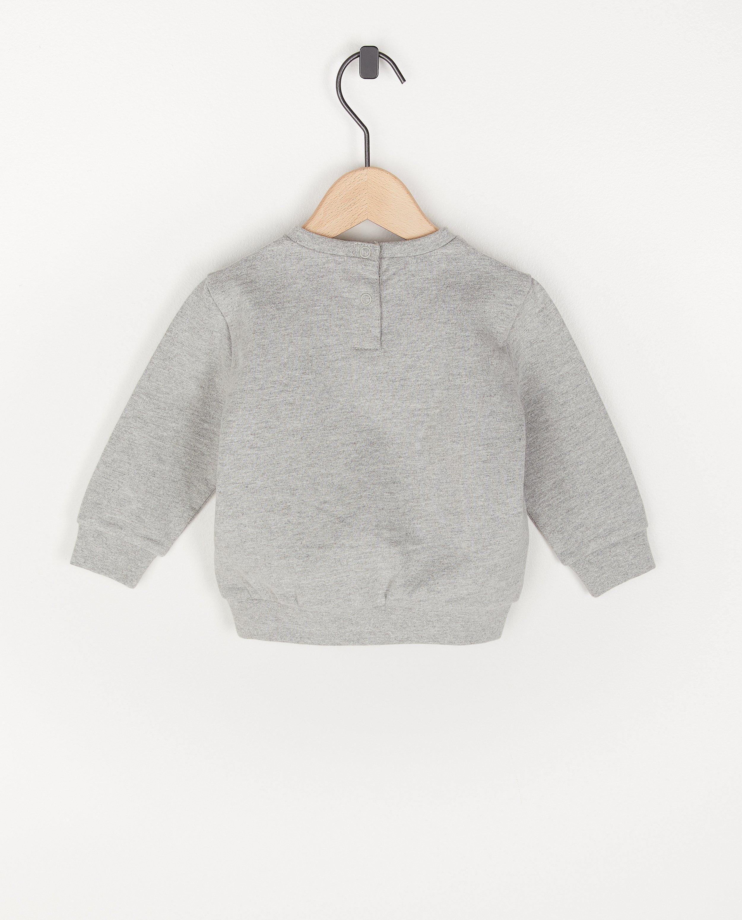 Sweaters - Grijze sweater met print