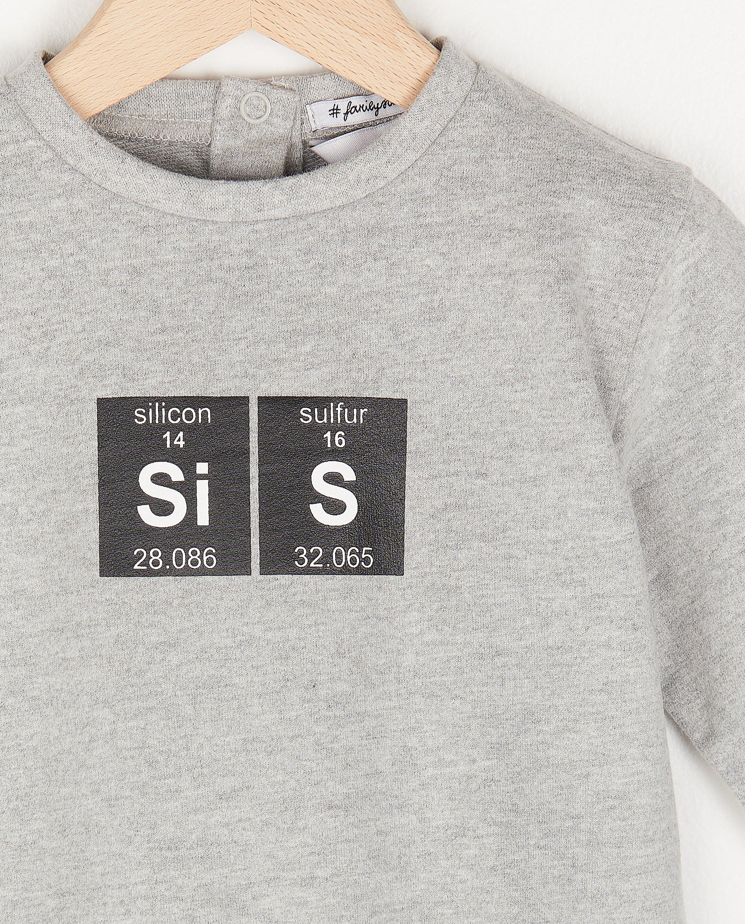 Sweaters - Grijze sweater met print