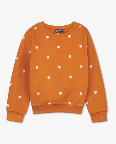 Bruine sweater Samson en Marie Bruine sweater Samson en Marie