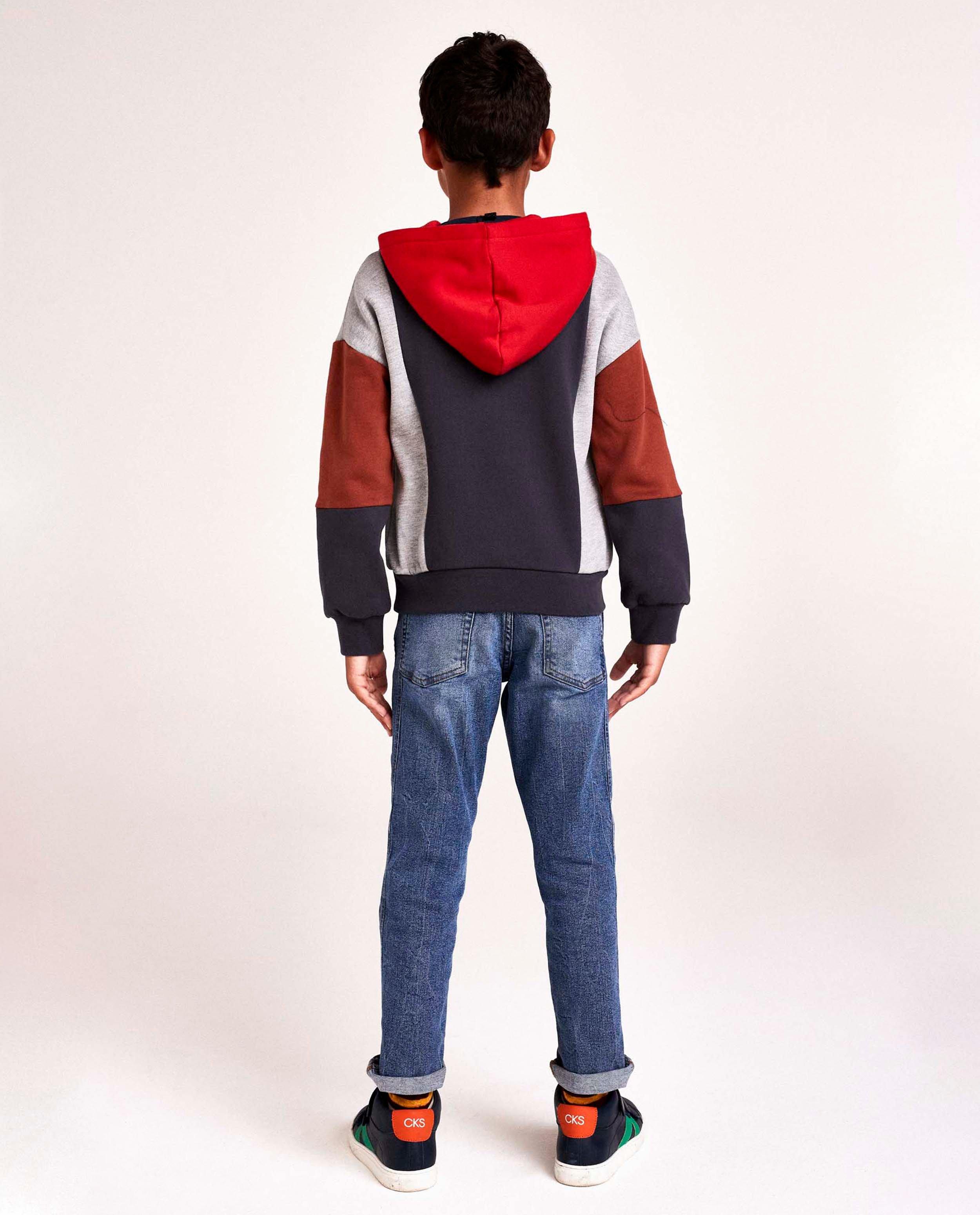 Sweaters - Hoodie met color block CKS
