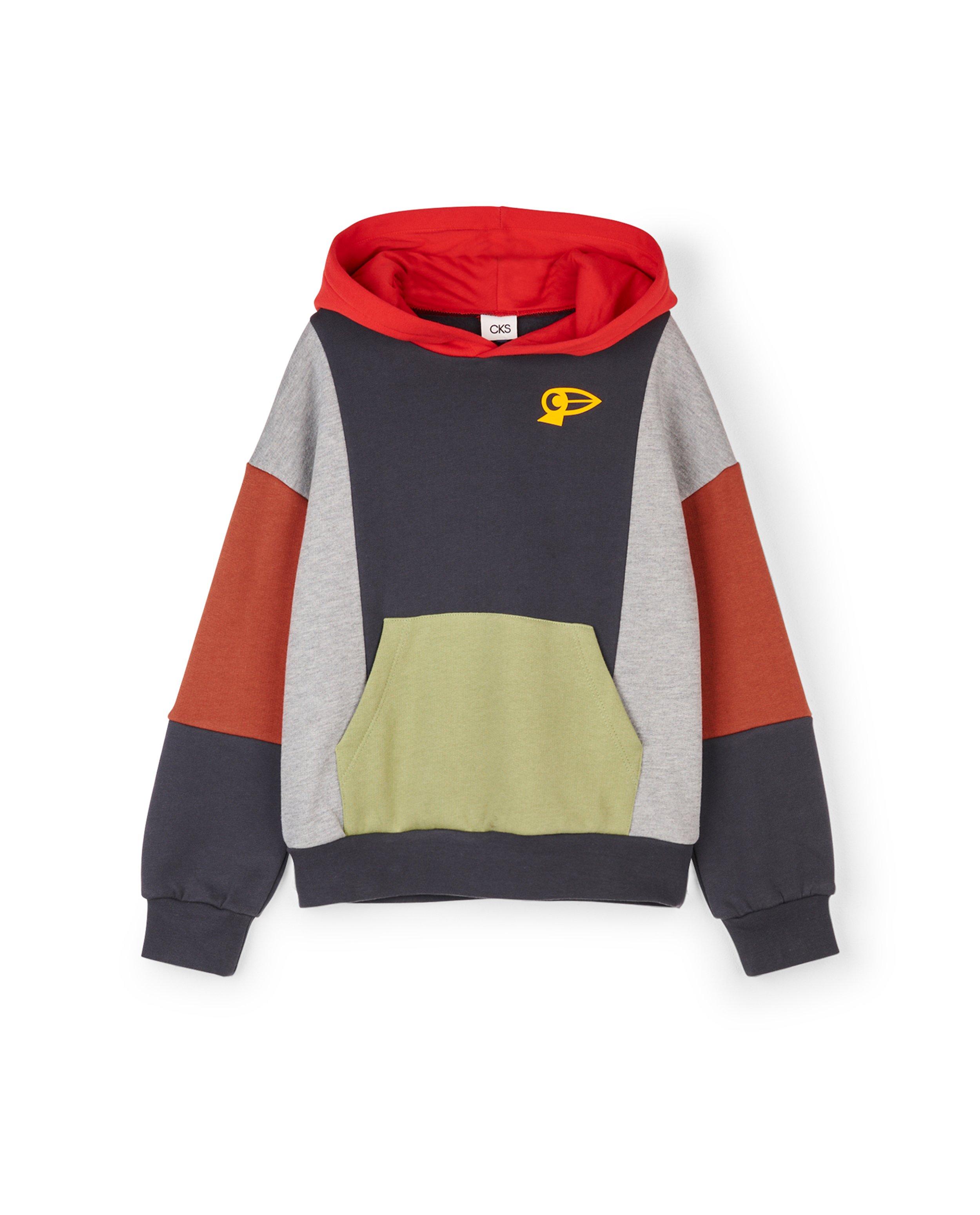Sweaters - Hoodie met color block CKS