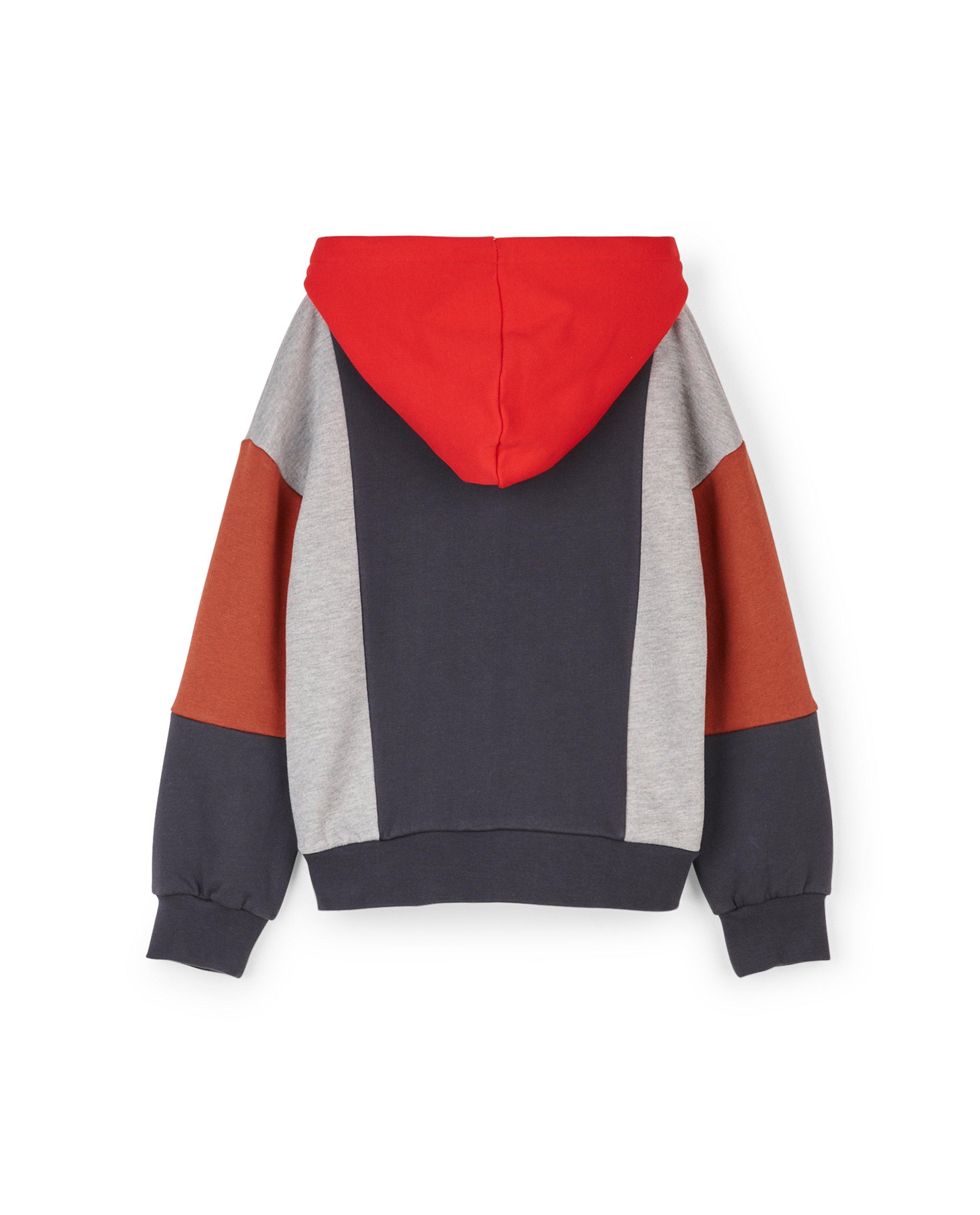 Sweaters - Hoodie met color block CKS