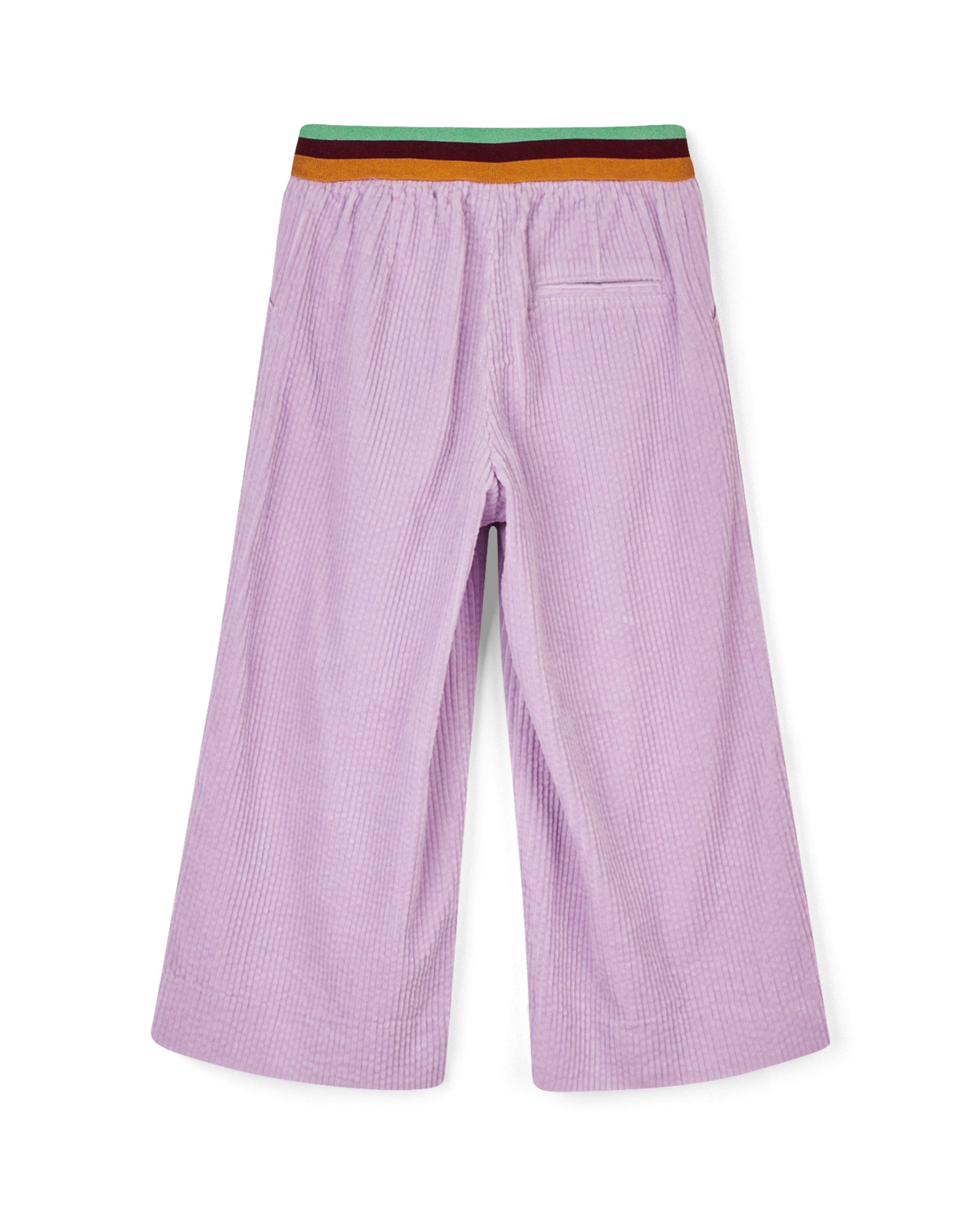 Broeken - Lila broek van ribfluweel CKS