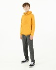 Unisex hoodie Dylan Haegens - met brushed fleece - Dylan Haegens
