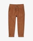Pantalons - Jogger brun en velours côtelé Samson 