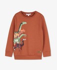 Roodbruine sweater met print - van dino's - Kidz Nation