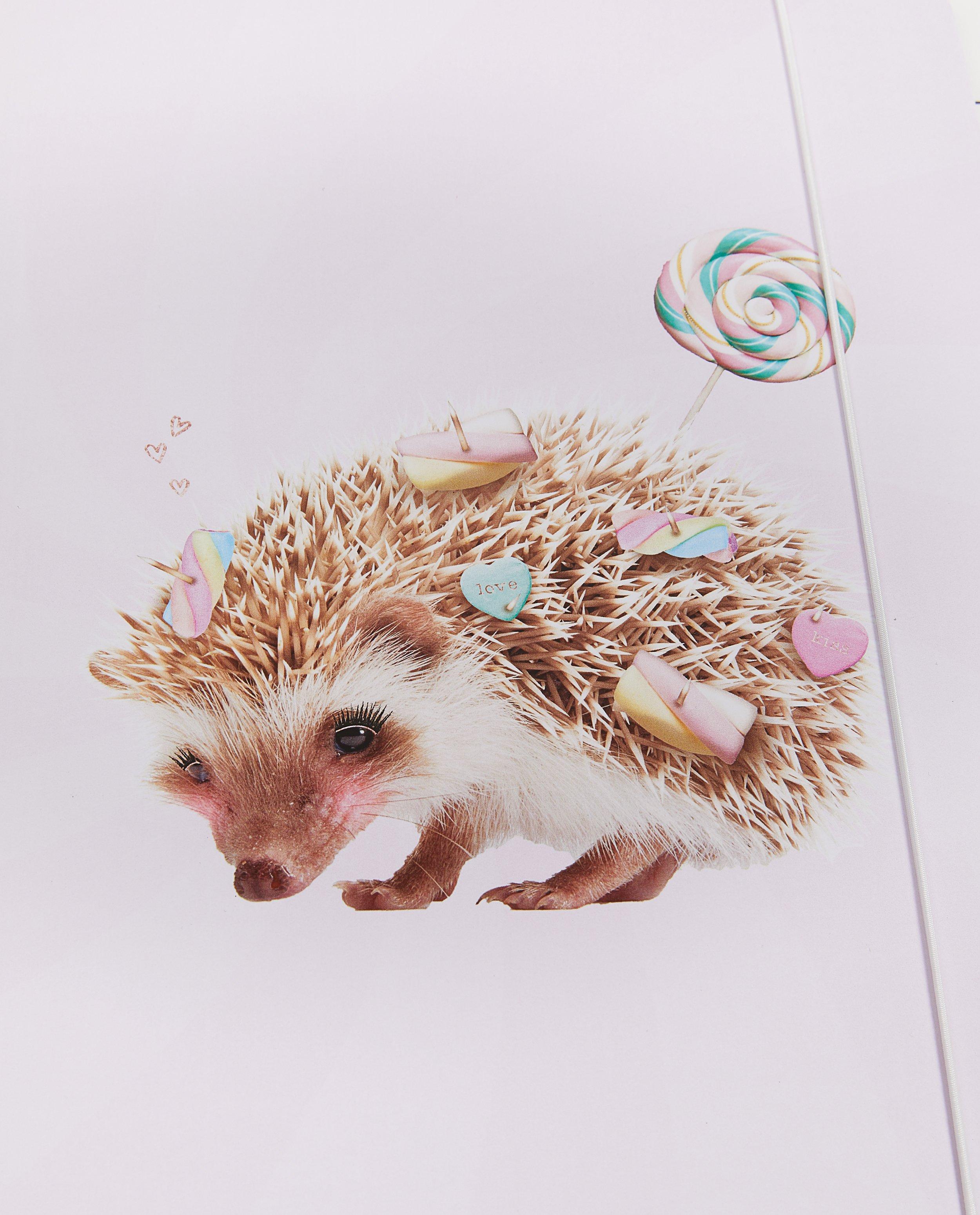 Gadgets - Elastomap met egel Enfant Terrible