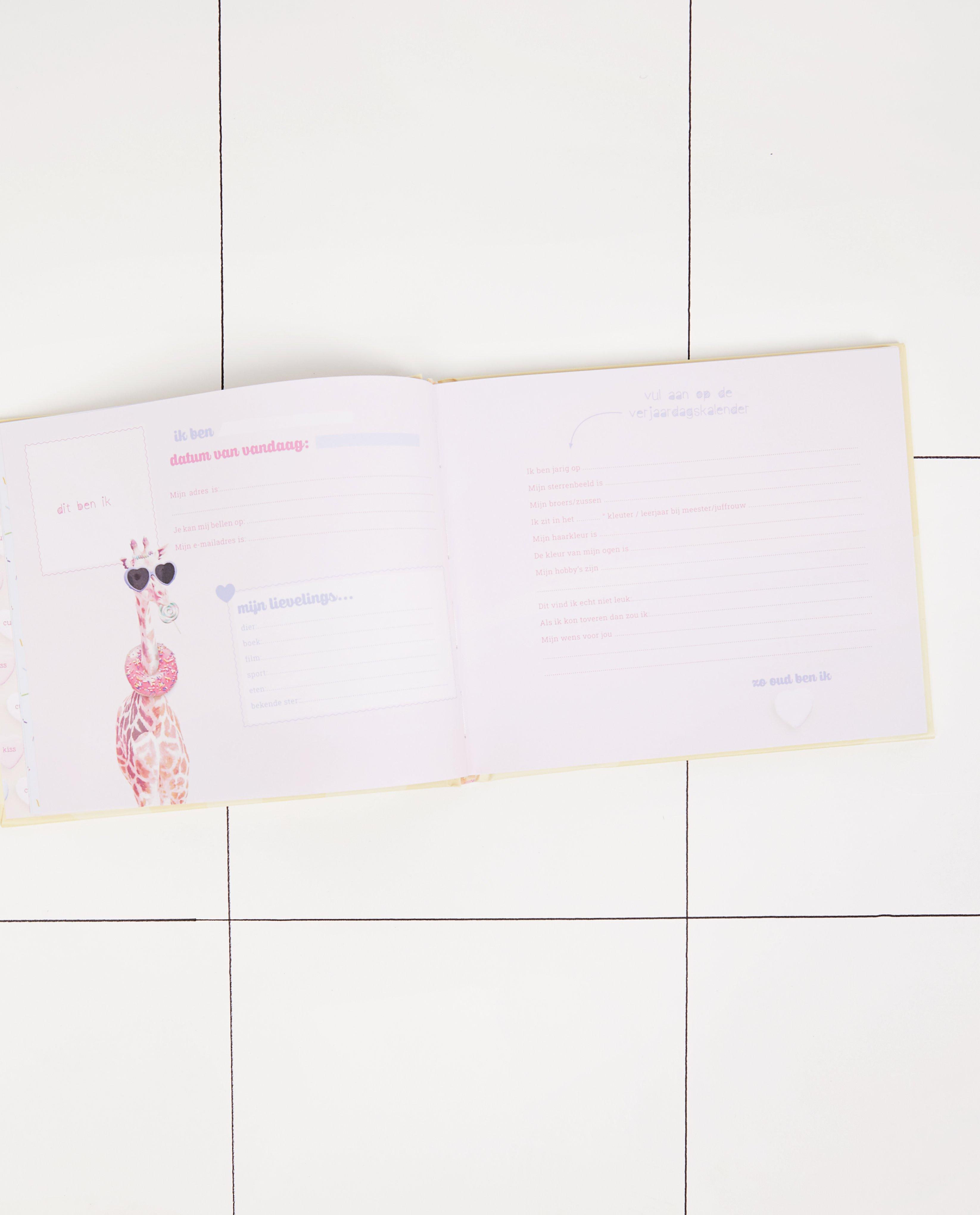 Gadgets - Vriendenboek Enfant Terrible (NL)