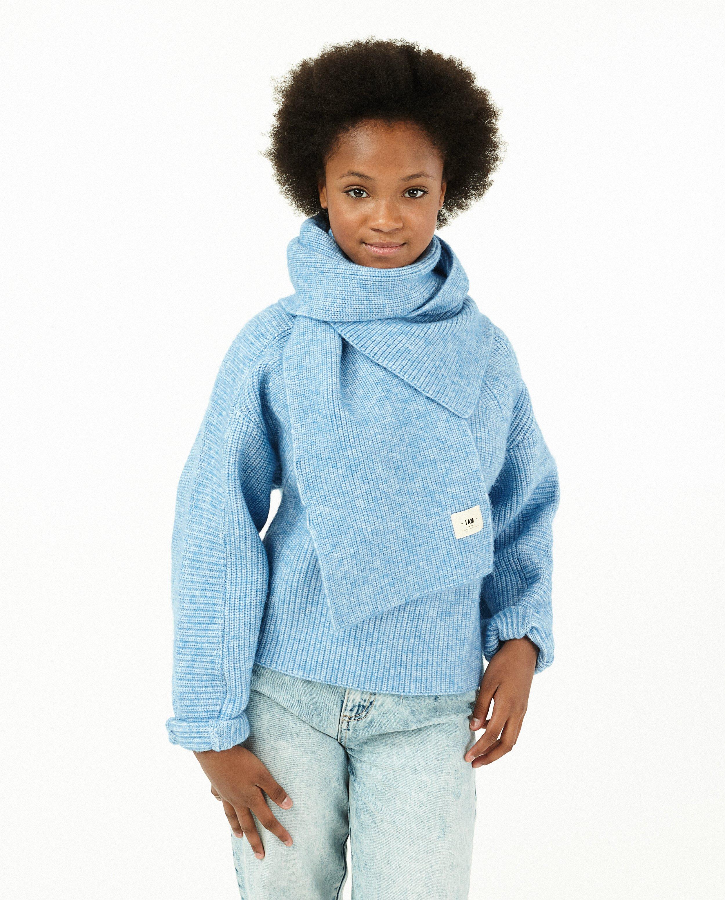 Trui van gerecycleerd polyester I AM - Product Detail - blauw - afbeelding nummer 2