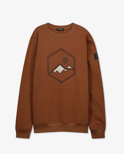 Bruine sweater met print