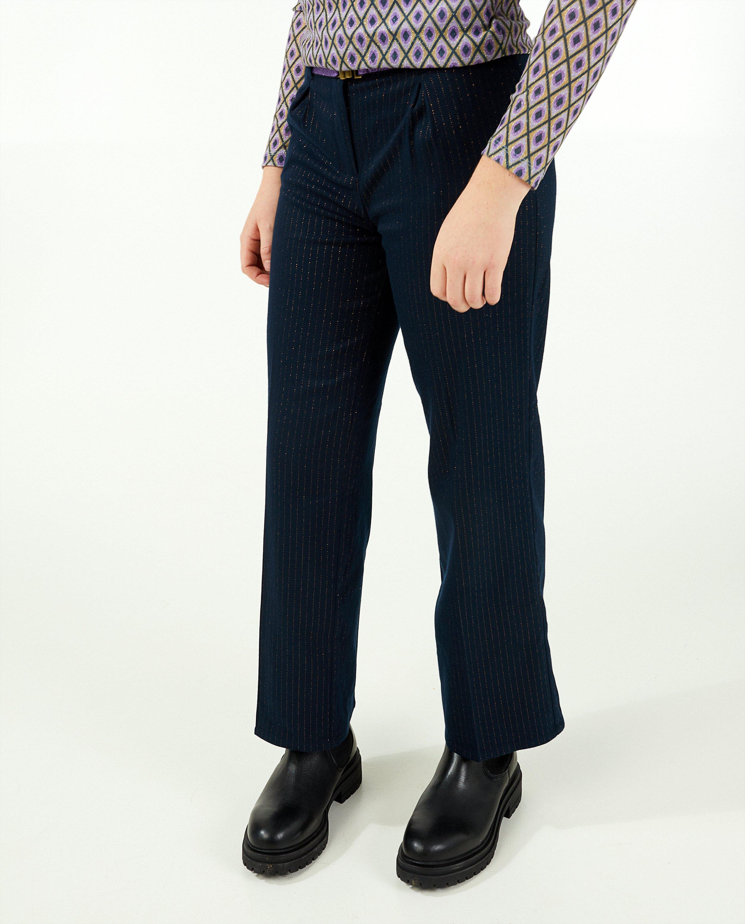 Pantalons - Pantalon bleu foncé à rayures