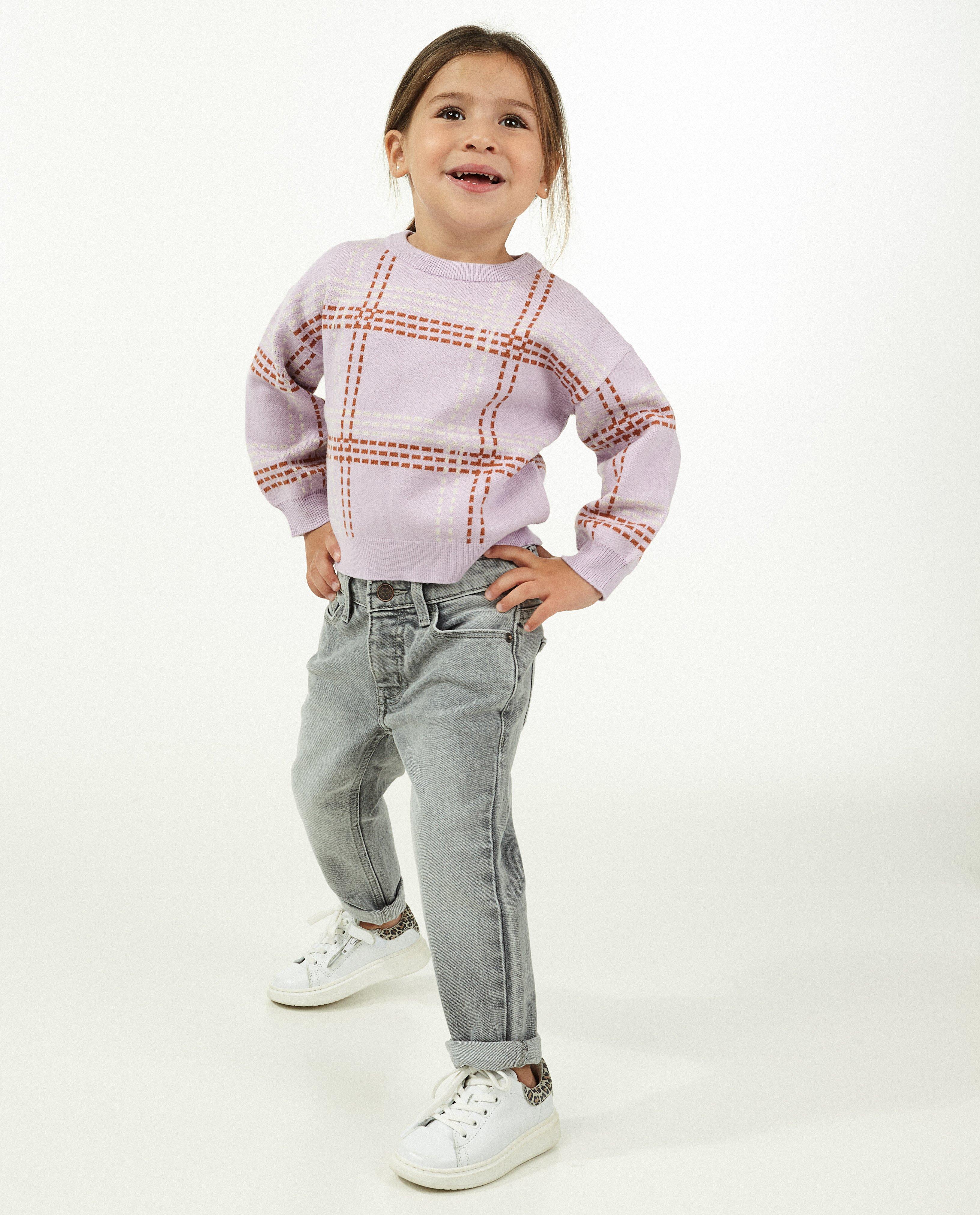 Lila trui met ruitjes 2 7 jaar Familystories JBC Belgie Belgie