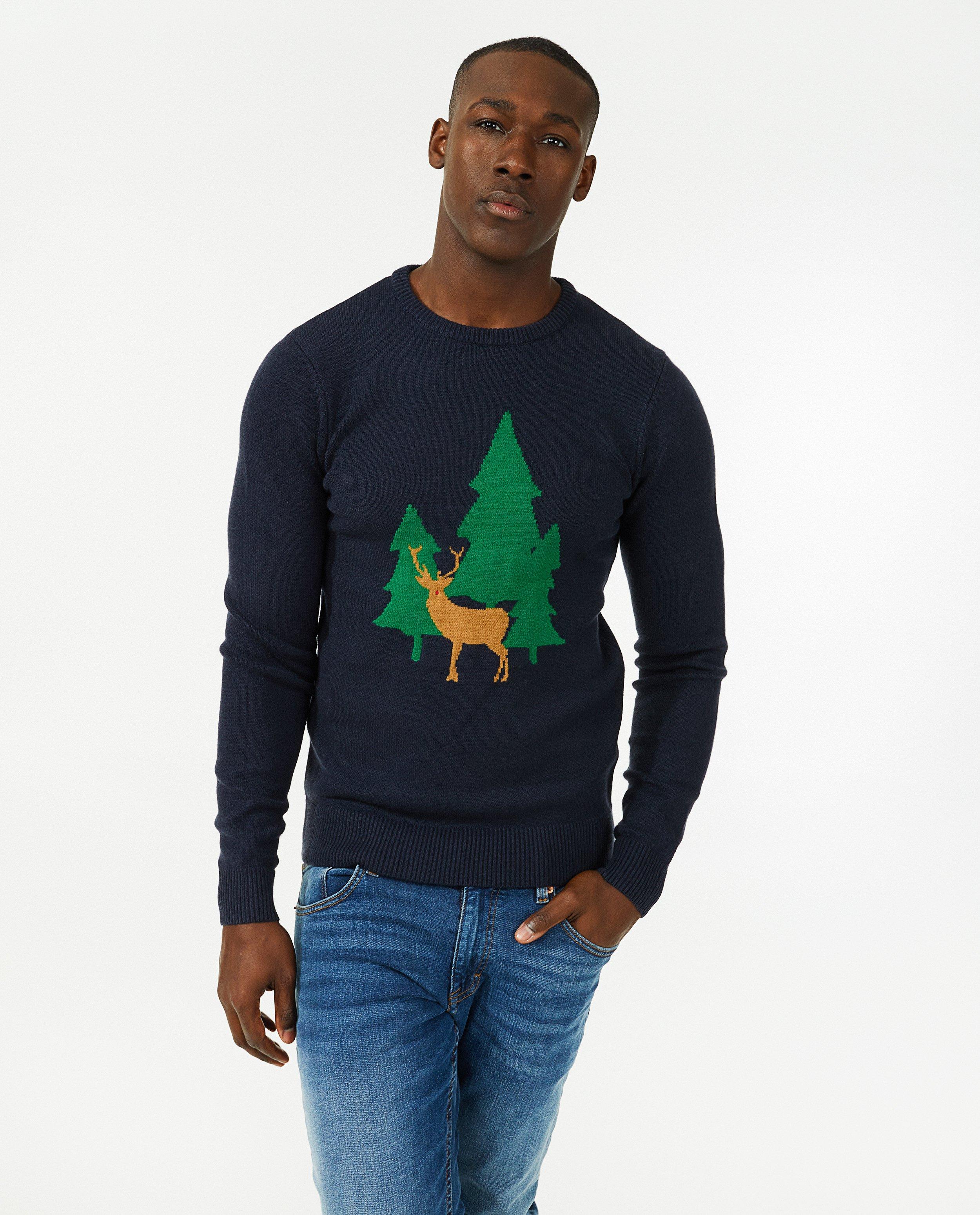 Sweat de Noël bleu, hommes - null - Familystories