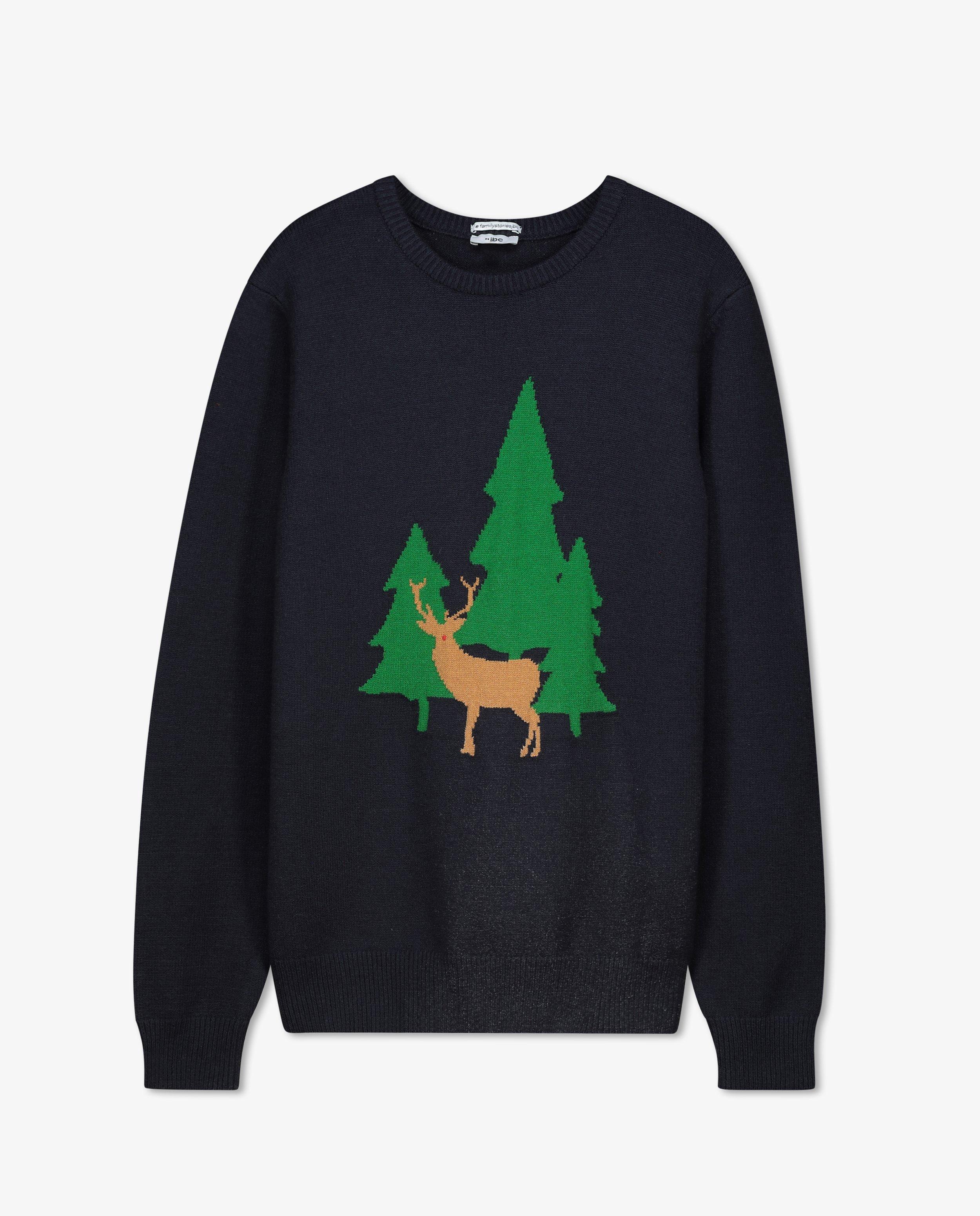 Pulls - Sweat de Noël bleu, hommes