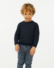 Truien - Blauwe trui met reliëf, 2-7 jaar