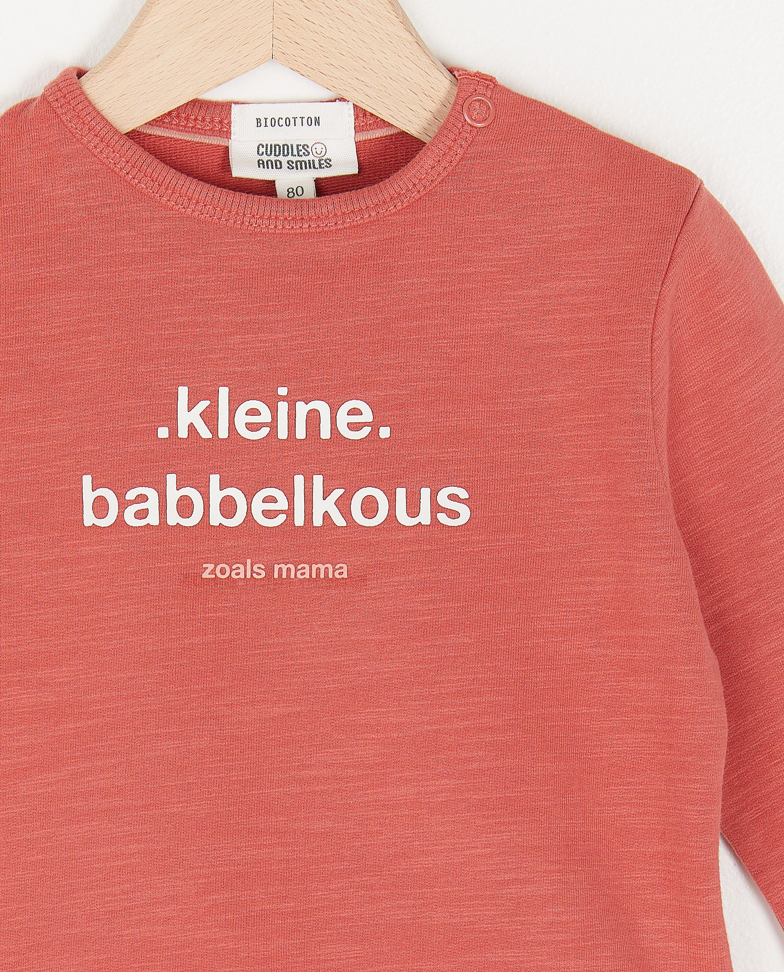Sweaters - Sweater met opschrift (NL)