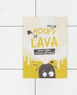 Boek 'Mijn hoofd is lava' - Steven Gielis - JBC