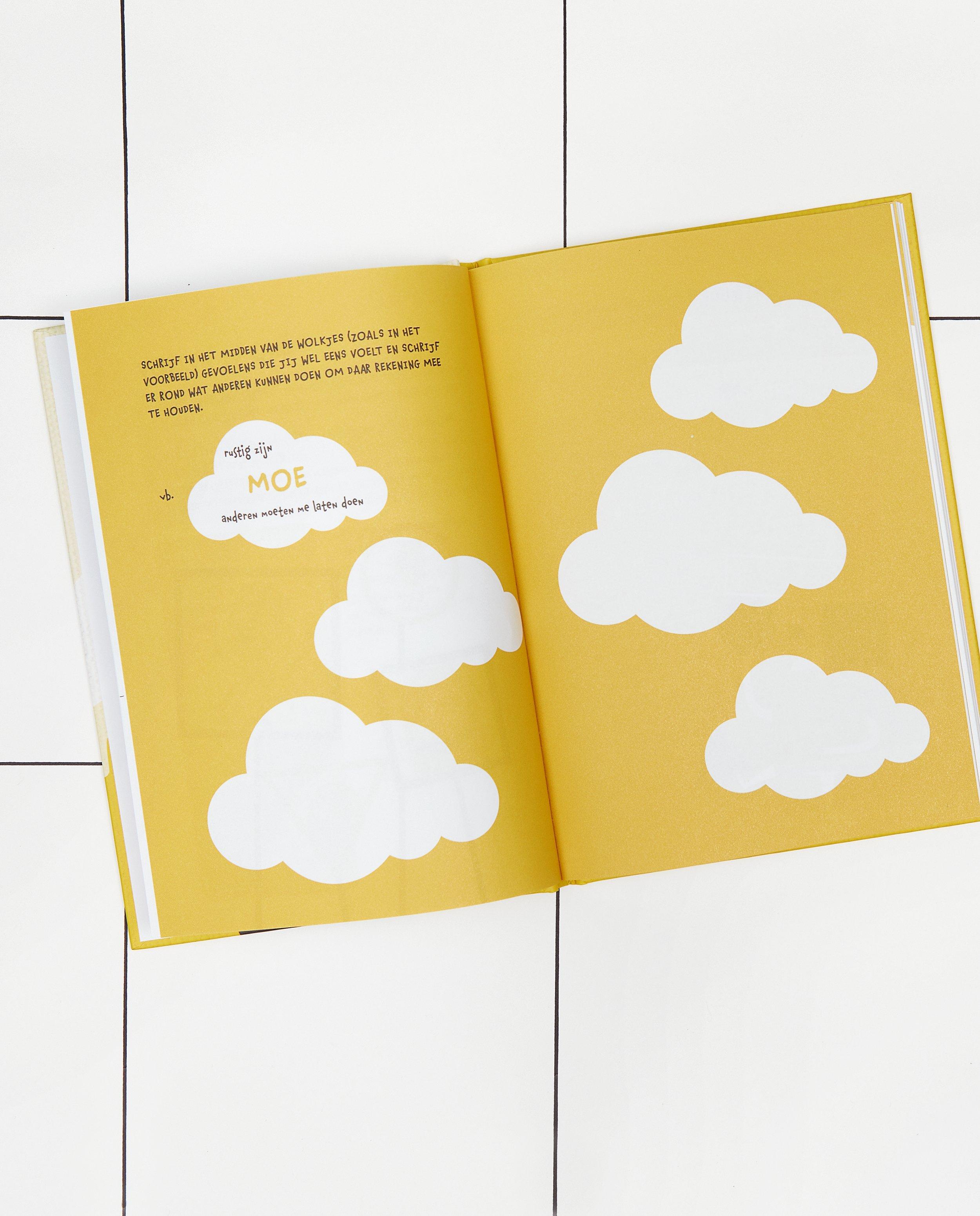 Gadgets - Boek 'Mijn hoofd is lava'