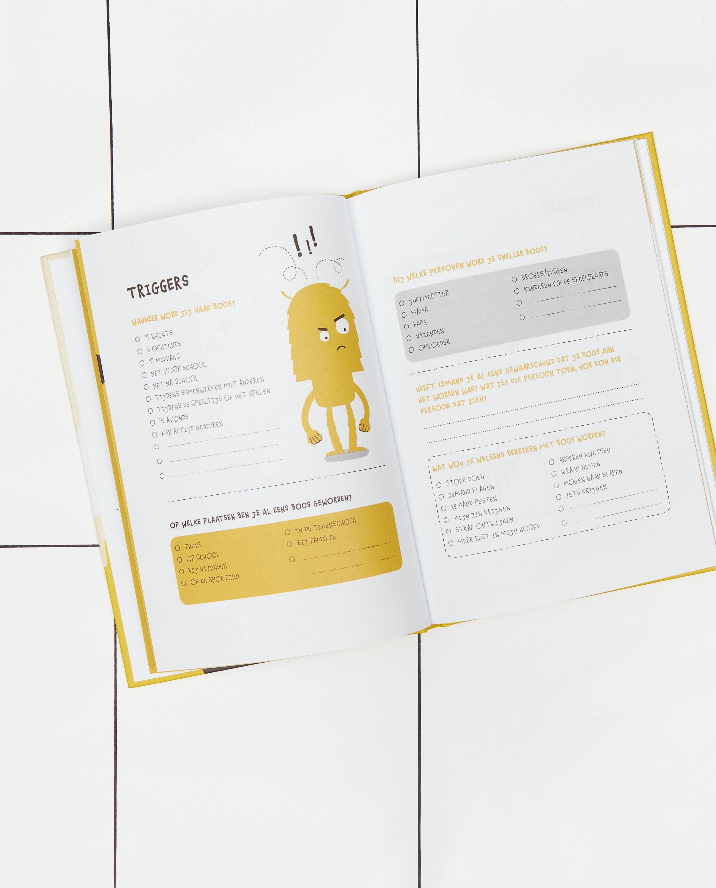 Gadgets - Boek 'Mijn hoofd is lava'