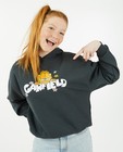 Sweaters - Donkergrijze 'Garfield'-sweater