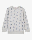 Sweaters - Grijze sweater met print BESTies
