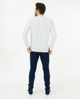 Sweaters - Lichtgrijze sweater Vans