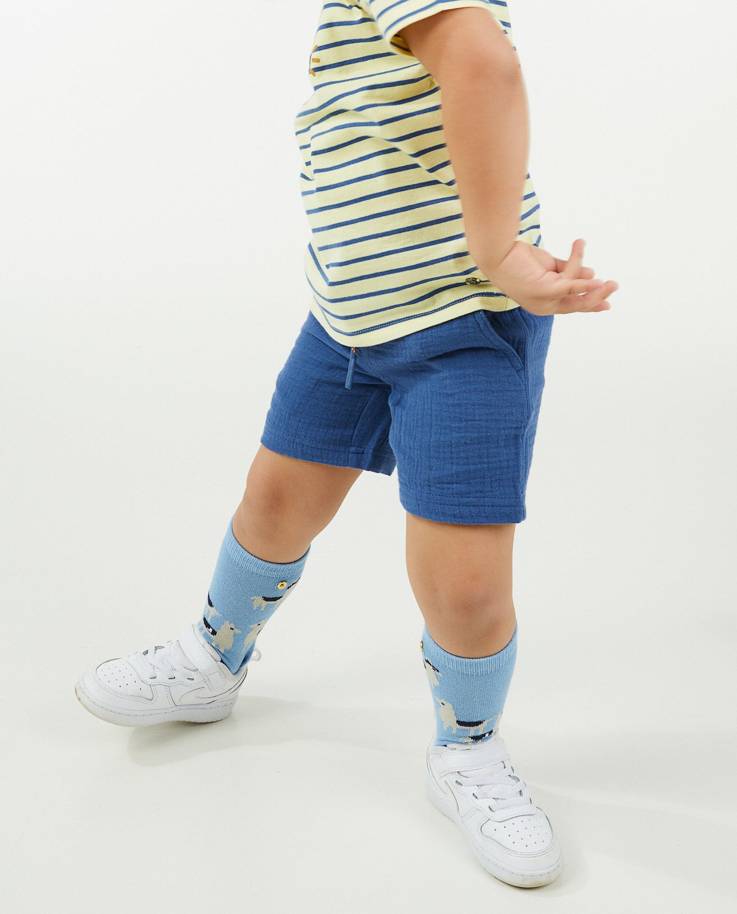 Shorten - Blauw shortje van tetra