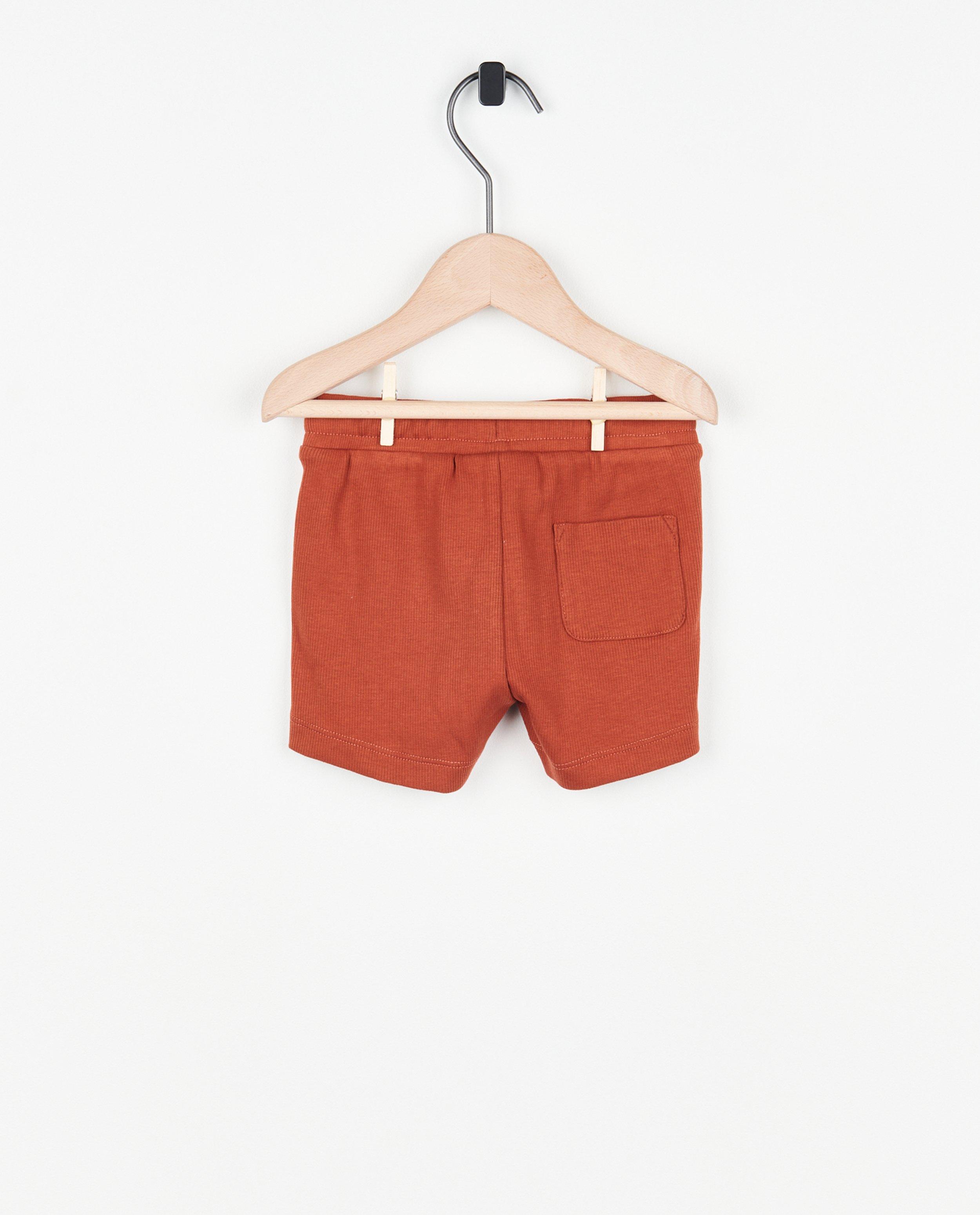 Shorts - Short vert côtelé
