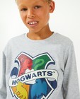 T-shirts - T-shirt à manches longues Harry Potter avec imprimé
