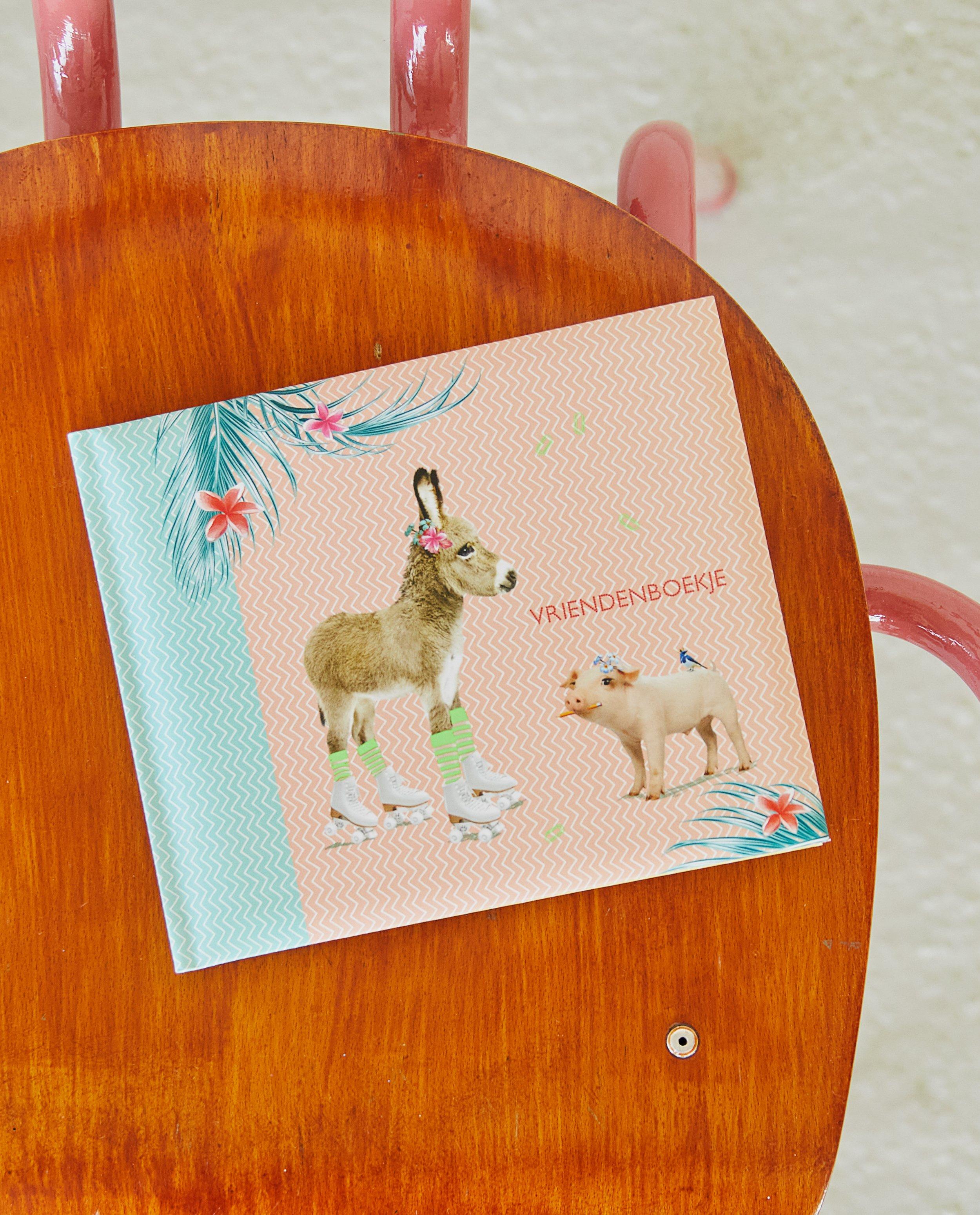 Livre d’amis Âne Enfant Terrible - null - JBC