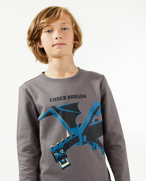 Sweaters - Grijze sweater met Ender Dragon